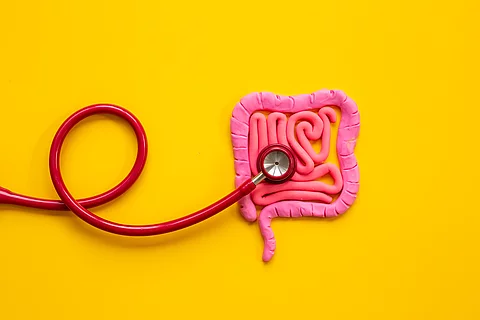 Digestive colon system health concept. Intestines shape made of 