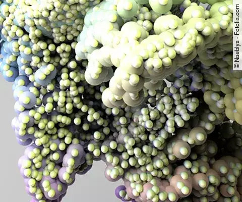 Flora batterica intestinale, tessuto micro organismo, batteri