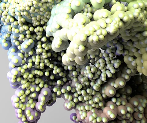 Flora batterica intestinale, tessuto micro organismo, batteri