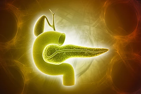 3d rendered pancreas isolated on a color background 3d rendered pancreas isolated on a color background