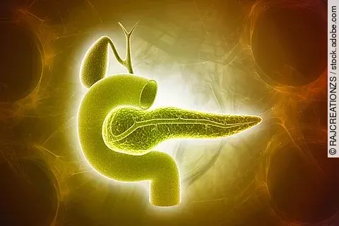 3d rendered pancreas isolated on a color background