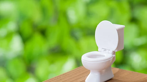 Toilette als Infektionsherd bei Norovirus-Ausbrüchen.