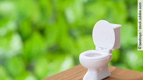 Toilette als Infektionsherd bei Norovirus-Ausbrüchen.