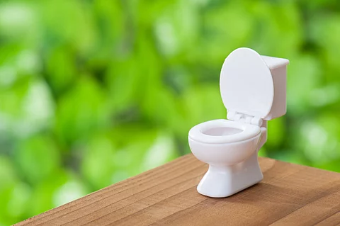Toilette als Infektionsherd bei Norovirus-Ausbrüchen.