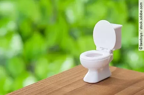 Toilette als Infektionsherd bei Norovirus-Ausbrüchen.