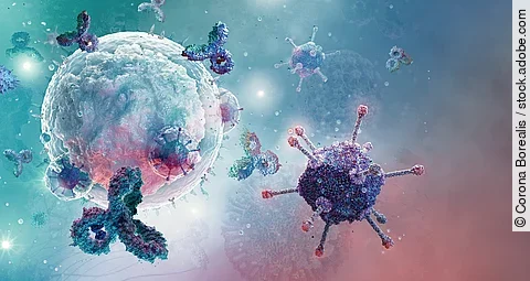 Eine verstärkte Immunantwort gegen das Epstein-Barr-Virus bei primär sklerosierender Cholangitis