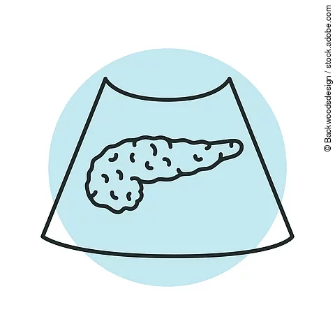 Ultrasound pancreas color line illustration