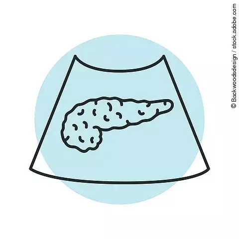 Ultrasound pancreas color line illustration