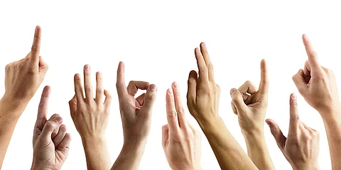 Viele Hände melden sich