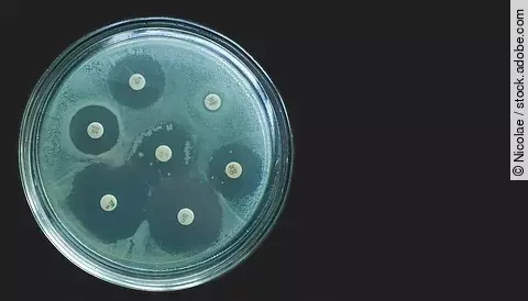 Antibiotikaresistenz - Diffusionstest
