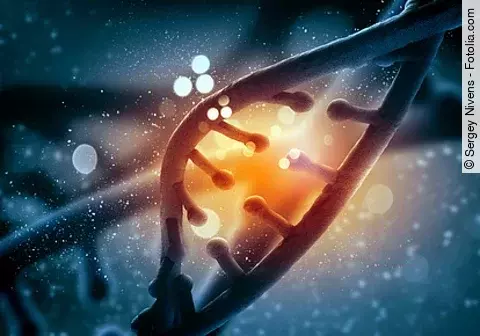 Mutation in einem DNA-Abschnitt