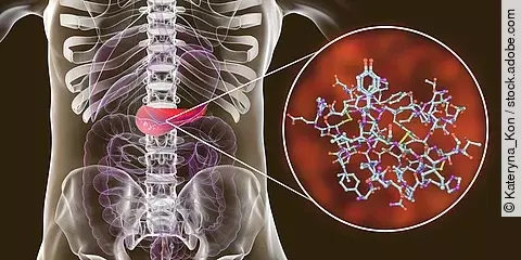 Molekularer Klebstoff - eine neue Strategie zur Bewahrung der Betazell-Funktion