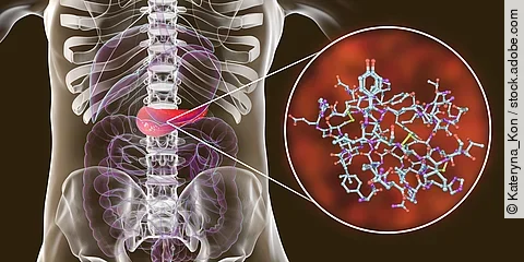Molekularer Klebstoff - eine neue Strategie zur Bewahrung der Betazell-Funktion