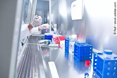 Medizinische Analyse von biologischen Proben im Labor in einer Sicherheitswerkbank unter sterilen Bedingungen