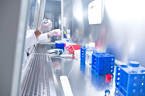 Medizinische Analyse von biologischen Proben im Labor in einer Sicherheitswerkbank unter sterilen Bedingungen Medizinische Analyse von biologischen Proben im Labor in einer Sicherheitswerkbank unter sterilen Bedingungen