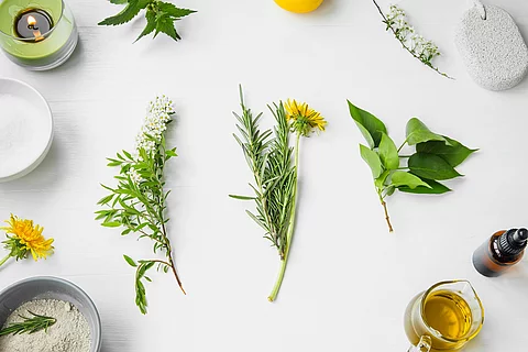 Organic spa. natural herbal skincare ingredients with herbs and Organic spa. natural herbal skincare ingredients with herbs and