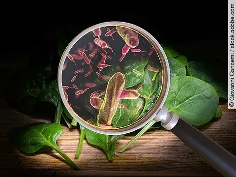 Salmonelleninfektion gezielt stoppen.