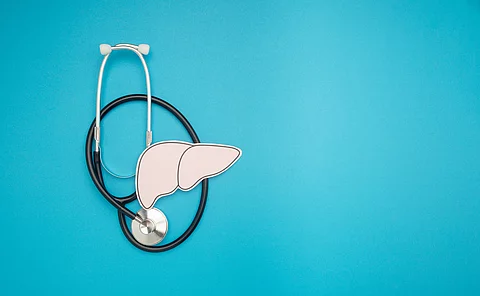 A stethoscope and liver shape made of paper are over a blue background