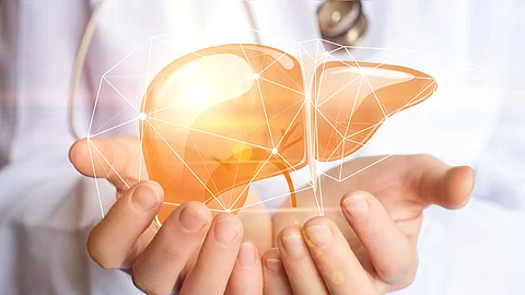 Support healthy liver.