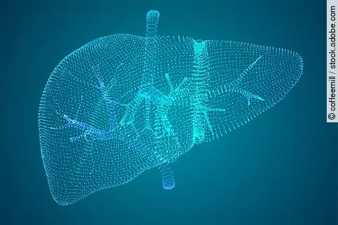 Vector abstract background of dots and glows. human liver.