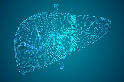 Vector abstract background of dots and glows. human liver.