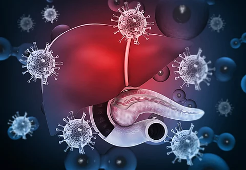 Human liver with  hepatitis viruses. 3d illustration.