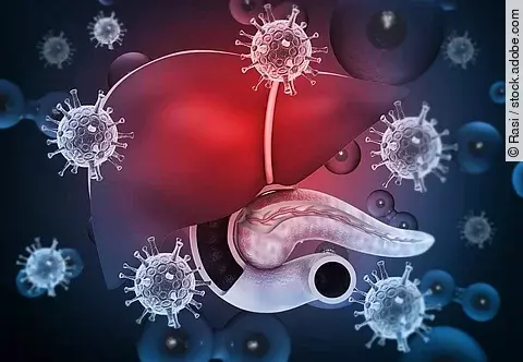Human liver with  hepatitis viruses. 3d illustration.