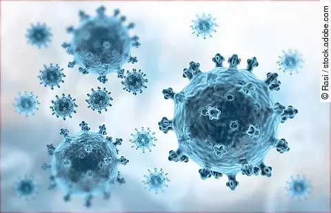 Hepatitis-B-Virus - neuer Impfstoff: TherVacB