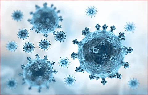Hepatitis-B-Virus - neuer Impfstoff: TherVacB