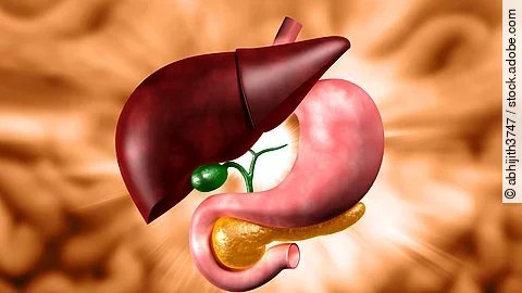 Human stomach and liver Human stomach and liver