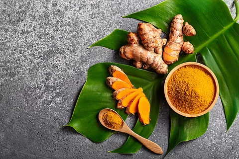 Turmeric powder and fresh turmeric root on grey concrete backgro