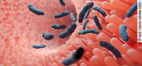 Darmflora als Frühwarnsystem