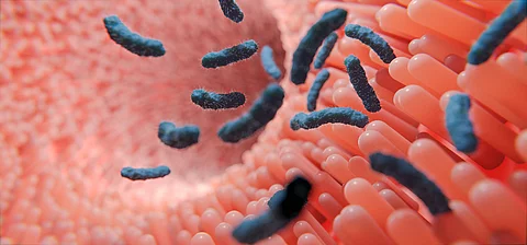 Darmflora als Frühwarnsystem