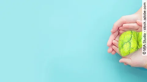 Meilenstein in der Kinderheilkunde: 1.000. Lebertransplantation im UKE