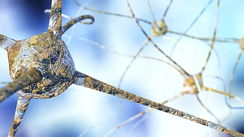 Neuron