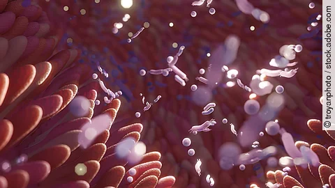 Microbiome intestine factories and microbiota. Gut health 3d ren