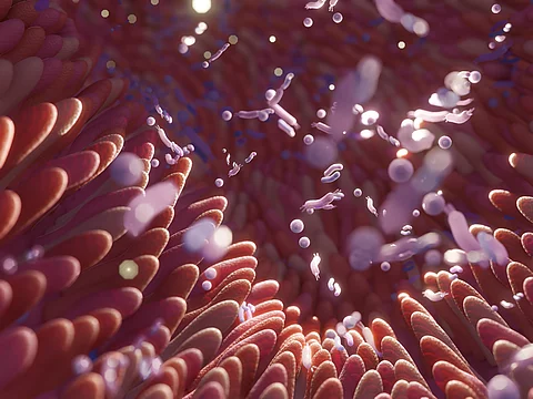 Microbiome intestine factories and microbiota. Gut health 3d ren