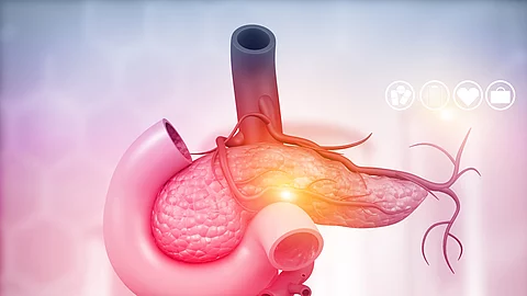 Anatomy of pancreas. 3d illustration