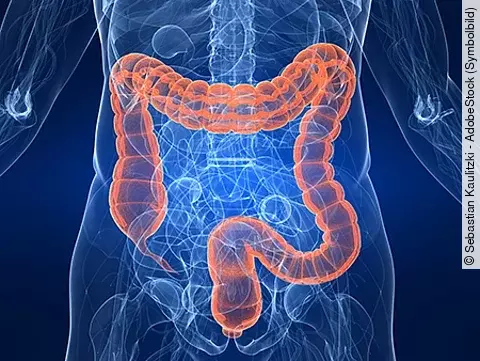menschlicher darm