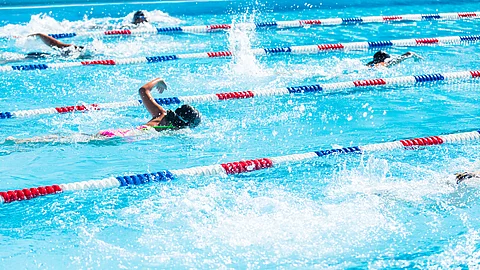 Am 20./21. August finden bei den World-Transplant Games die Schwimmwettkämpfe statt.