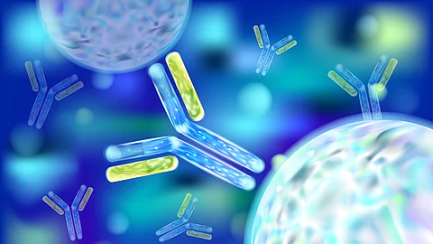 Antibody (Ab), also known as an immunoglobulin (Ig). 3d vector.