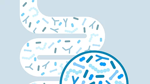 Gut microbiome concept. Human intestine microbiota with healthy probiotic bacteria. Flat abstract medicine illustration of microbiology checkup.
