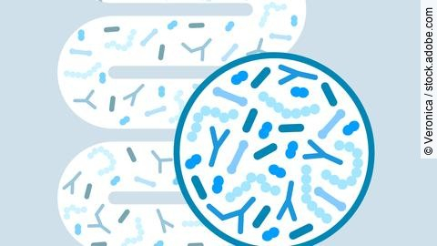 Gut microbiome concept. Human intestine microbiota with healthy probiotic bacteria. Flat abstract medicine illustration of microbiology checkup.