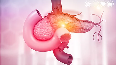 Medizinische Illustration der Bauchspeicheldrüse mit umliegenden Blutgefäßen. Medizinische Illustration der Bauchspeicheldrüse mit umliegenden Blutgefäßen.