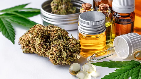 Cannabisblüten, Cannabisöl und Kapseln auf einem Tisch,