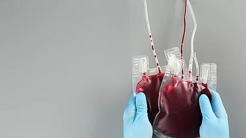 Doctor in gloves holding blood packs on gray background, top view with space for text. Donation day