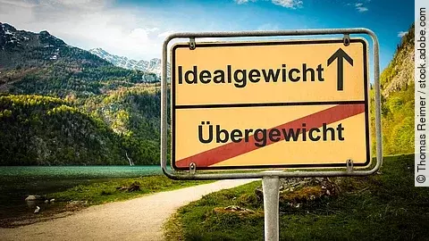 traßenschild in Berglandschaft mit den Aufschriften „Idealgewicht“ (Pfeil nach oben) und „Übergewicht“ (durchgestrichen). Symbolisiert den Weg von Übergewicht zu Idealgewicht.
