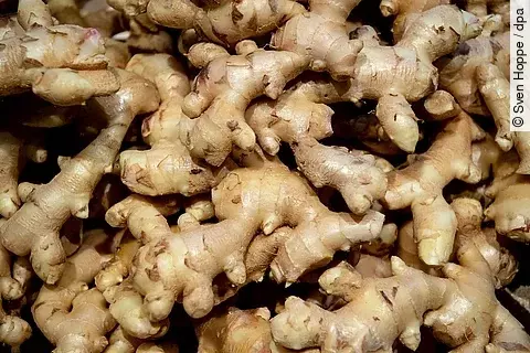 urn:newsml:dpa.com:20090101:260106-935-1058846