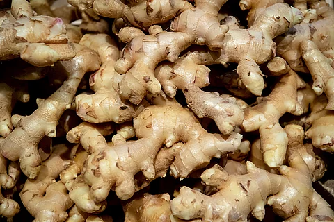 urn:newsml:dpa.com:20090101:260106-935-1058846