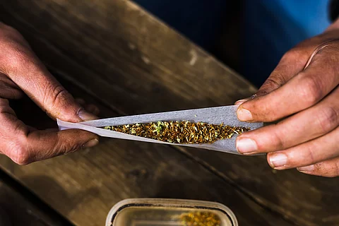 Cannabis-Schattenseiten: Psychosen, Entzug, Abhängigkeit
